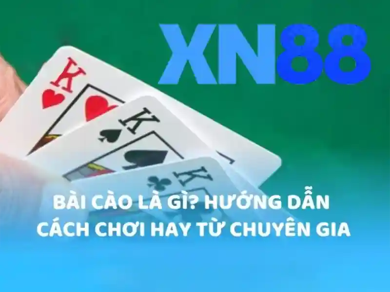 xn88 c – Tổng quan và giá trị cốt lõi