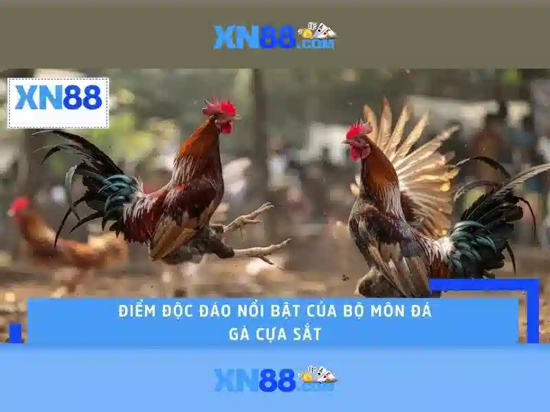 Đặt cược an toàn và quy định