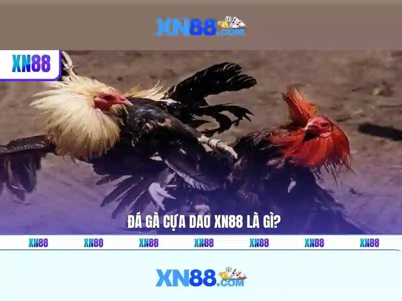 xn88 - Thông tin và đánh giá