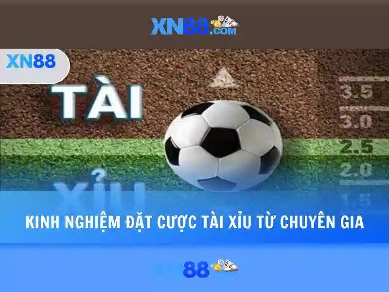xn88: Nền tảng công nghệ và cộng đồng trực tuyến