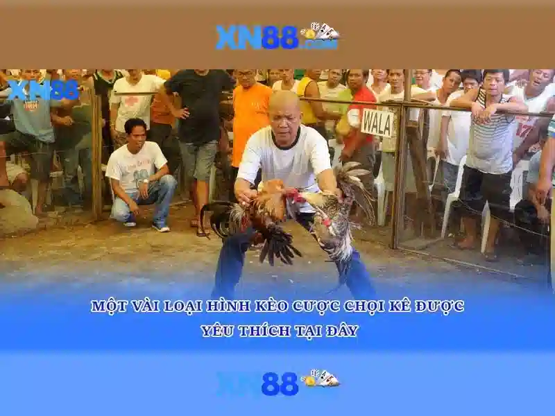 Endrick Rời Real Madrid – Câu Chuyện Phía Sau Quyết Định