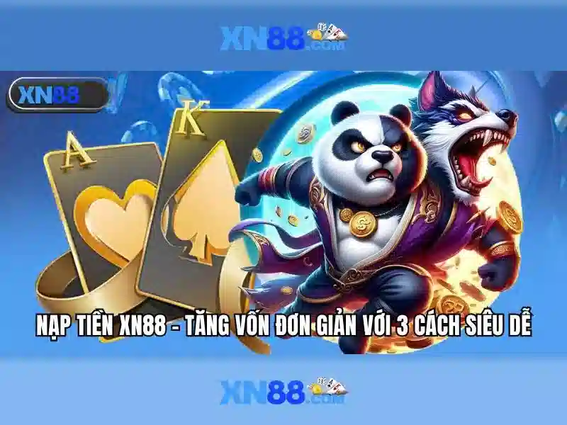 Tổng quan về xn88