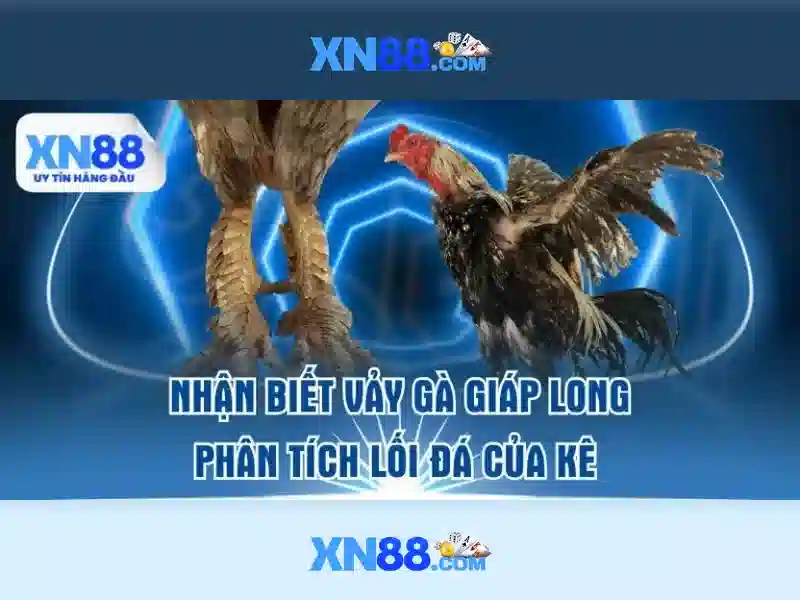 Xn88: Giới thiệu và đánh giá tổng quan