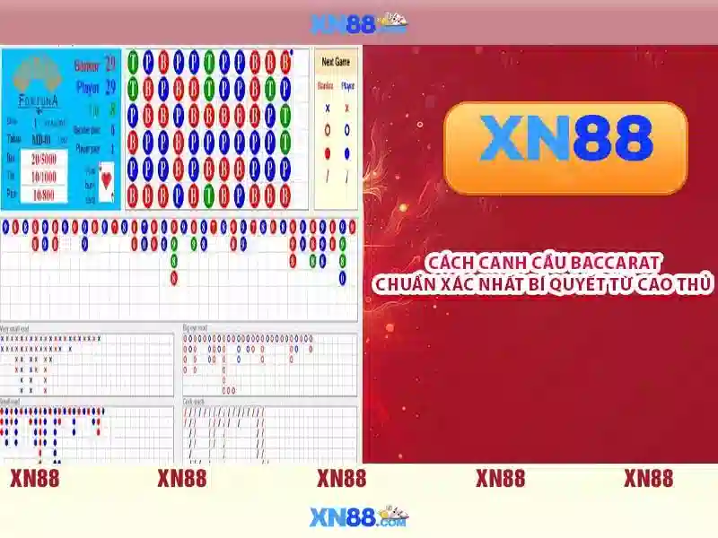 Đặc điểm nổi bật\n<h2><b>Hướng dẫn bắt đầu</b></h2>\n<p><span style=