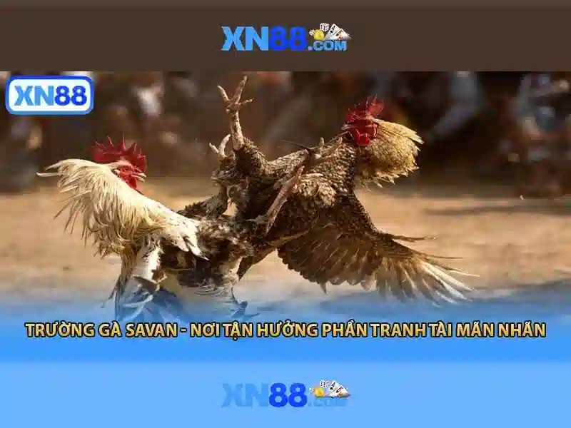 Giới thiệu về xn88