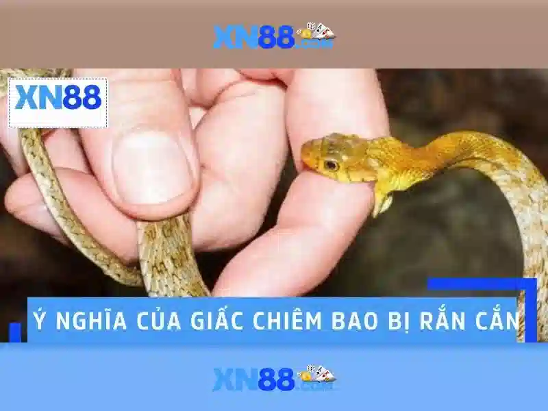 xn88: Nền tảng trò chơi trực tuyến nổi bật