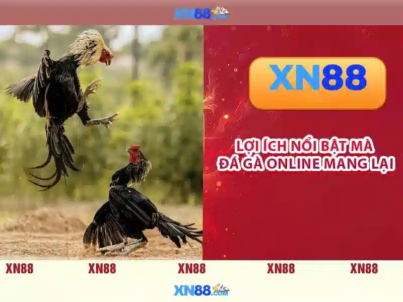 Endrick Rời Real Madrid – Câu Chuyện Phía Sau Quyết Định