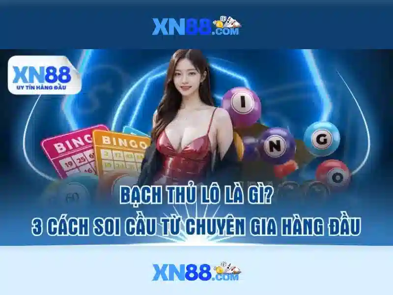 xn88: Nền tảng trực tuyến và cộng đồng
