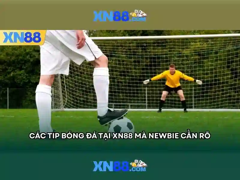 xn88: Tổng quan về nền tảng và các đặc điểm nổi bật