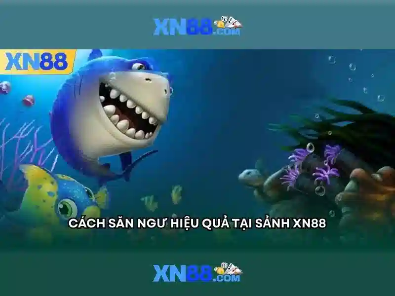 Hướng dẫn tham gia và rút tiền