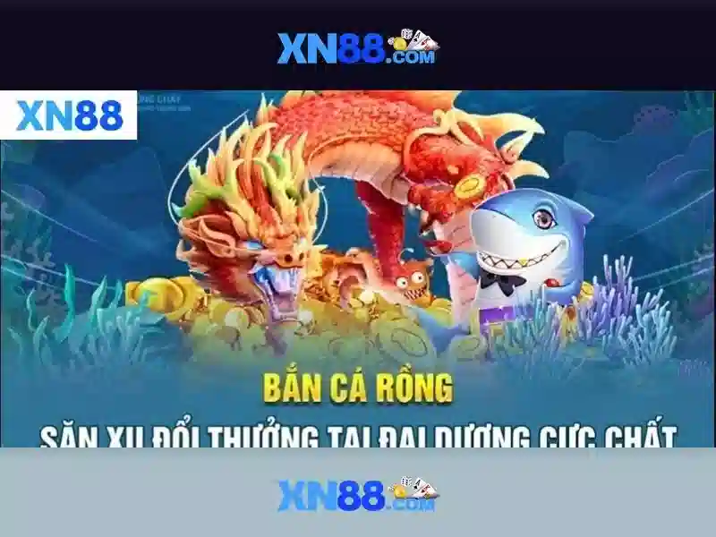 xn88 con – Trải nghiệm và tầm nhìn thương hiệu