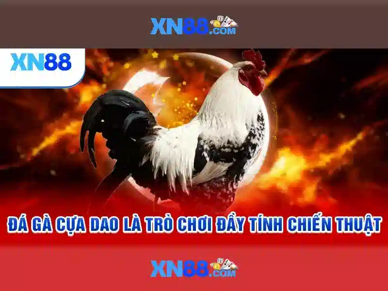 Giới thiệu về xn88