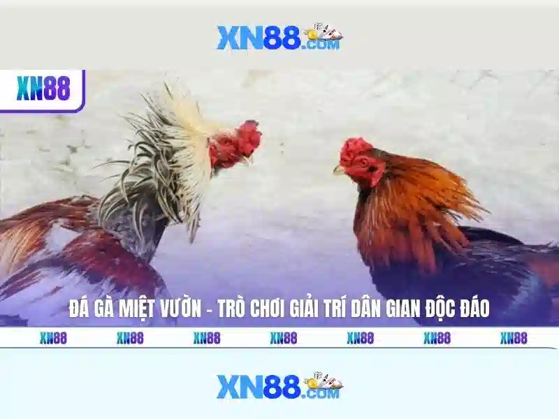 xn88 đăng nhập – Tổng quan chủ đề và giá trị cốt lõi