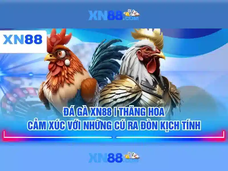 Trải nghiệm người dùng