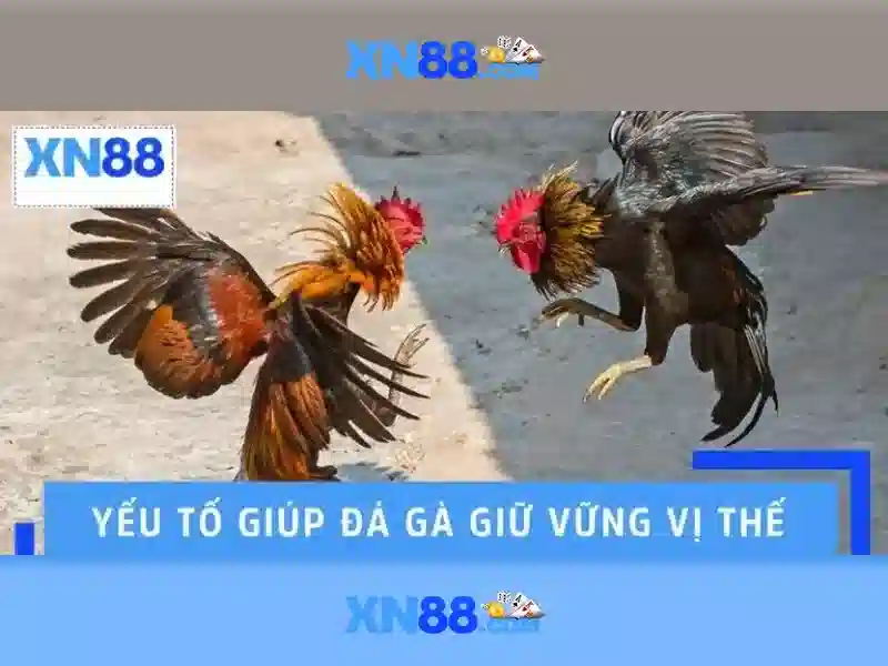 Sản phẩm và dịch vụ cốt lõi của xn88 lucky