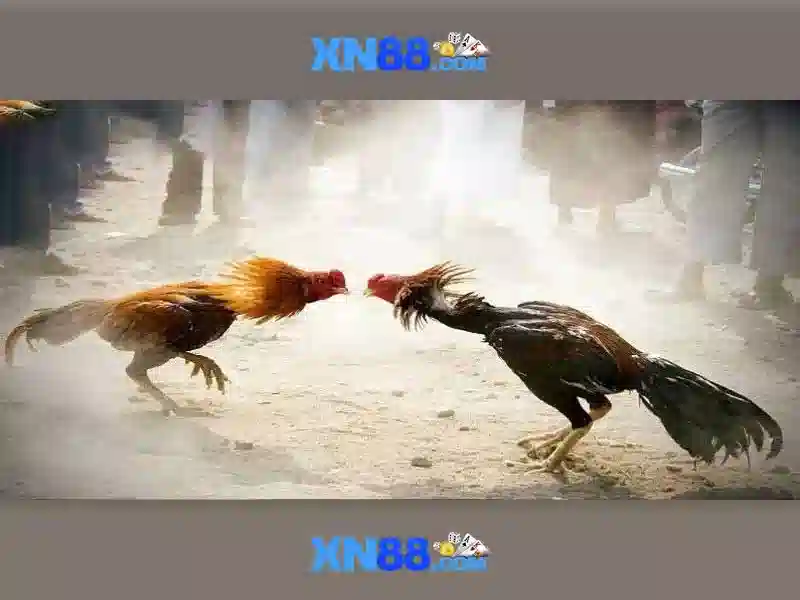 Giao diện người dùng và trải nghiệm\n<h>An toàn và bảo mật</h>\n<p><span style=