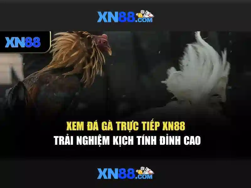 Endrick Rời Real Madrid – Câu Chuyện Phía Sau Quyết Định