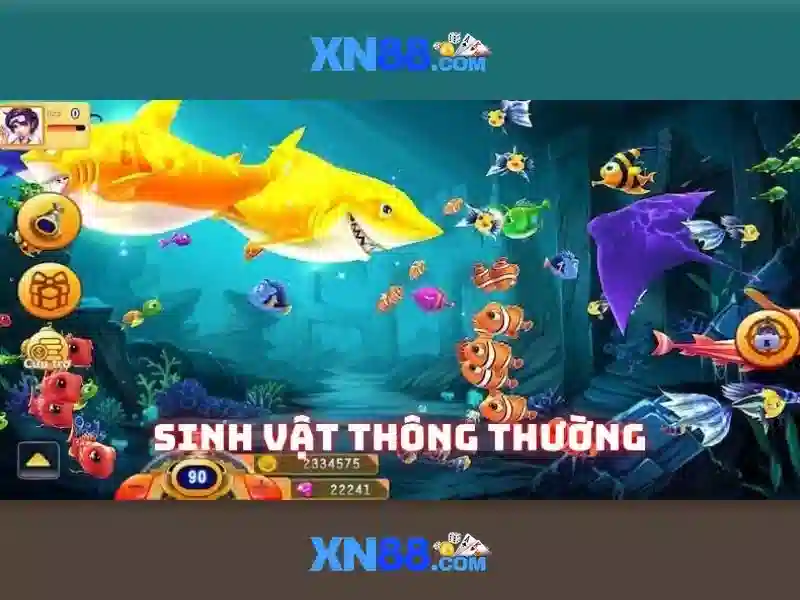 Tổng quan về xn88