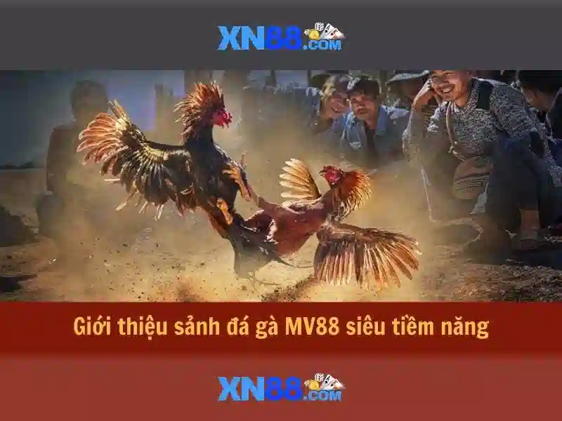 Đặc điểm nổi bật của xn88