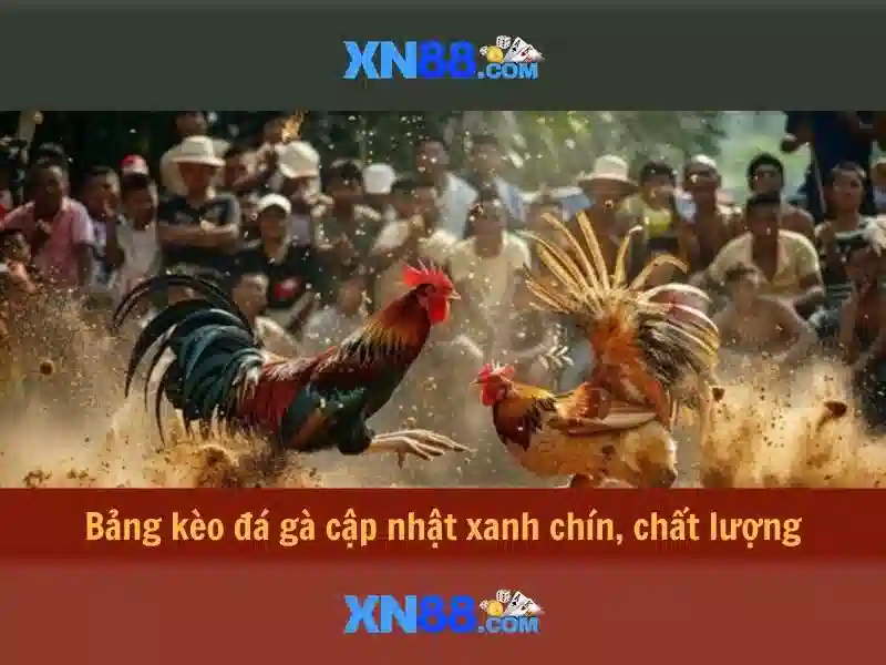 xn88: Tổng quan và hướng dẫn cho người chơi