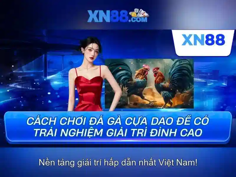Lịch sử và sự phát triển
