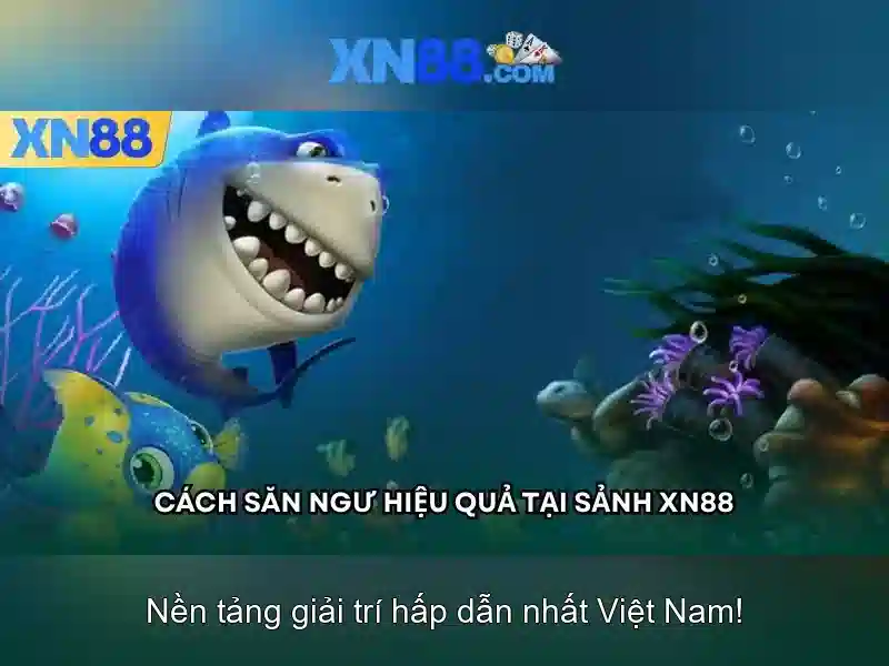 An toàn và thanh toán