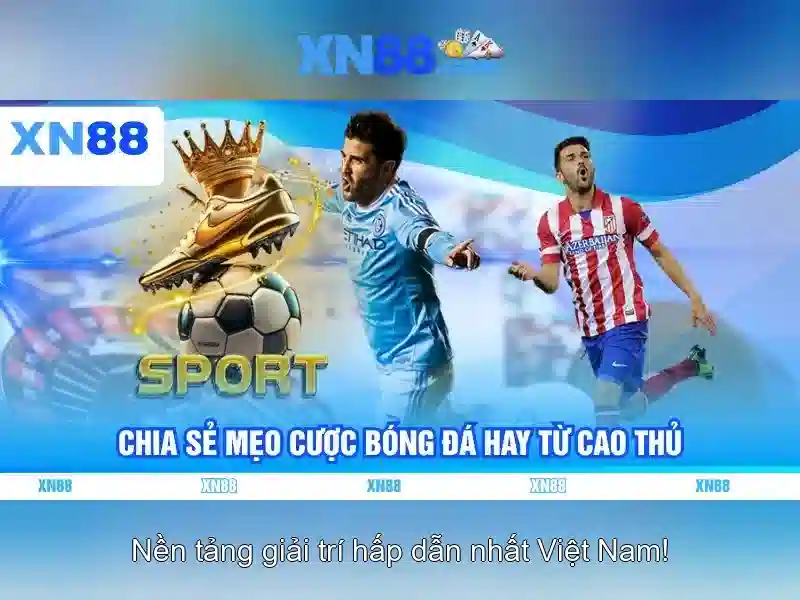 Các sản phẩm và trò chơi