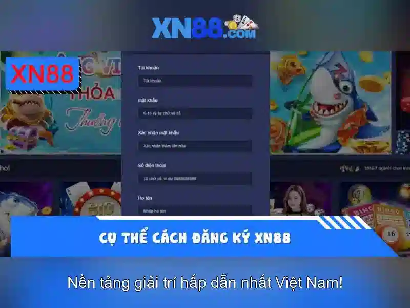 An toàn và hỗ trợ người dùng