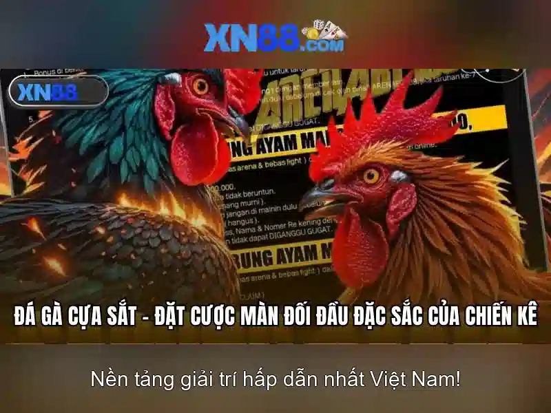 Hướng dẫn tham gia