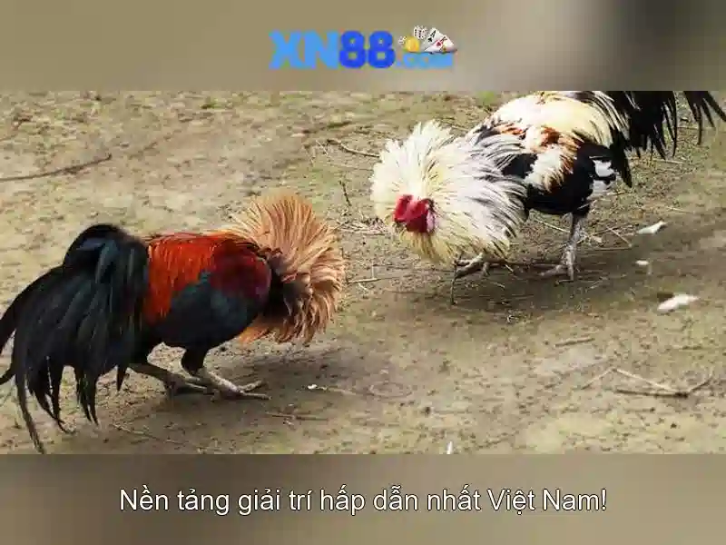 Các ưu đãi và chương trình khuyến mãi