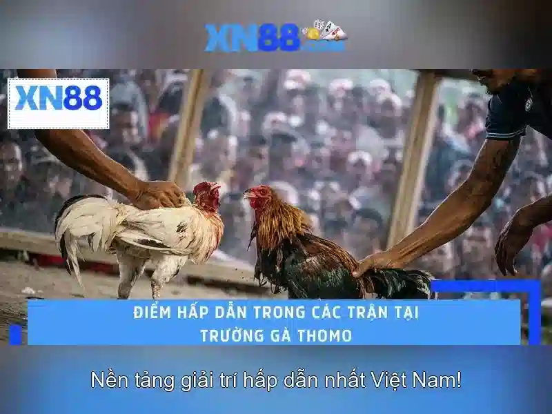 xn88 là gì và tại sao nó nổi bật