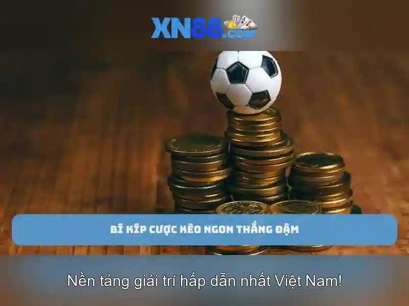 Lịch sử và phát triển