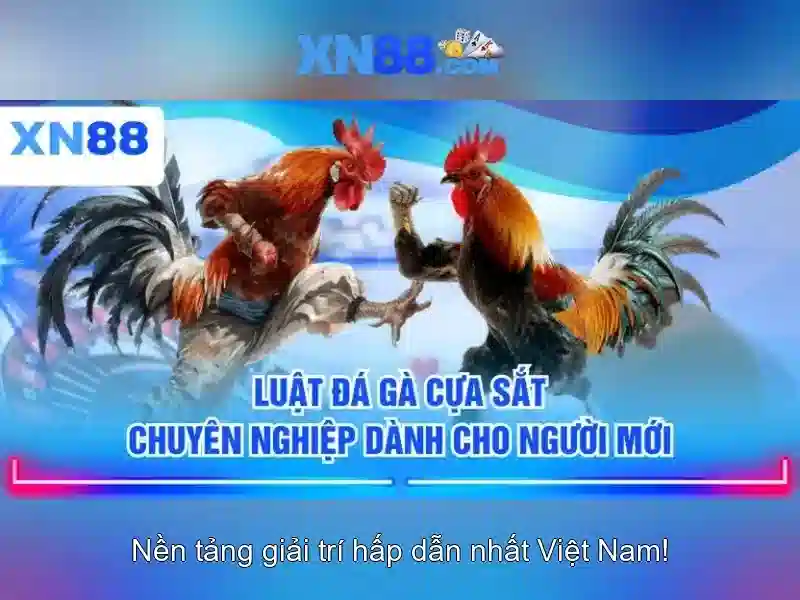 xn88: Tổng quan và những điều cần biết