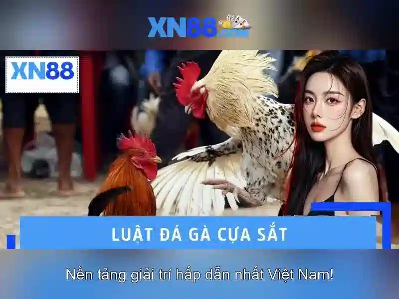 An toàn và bảo mật