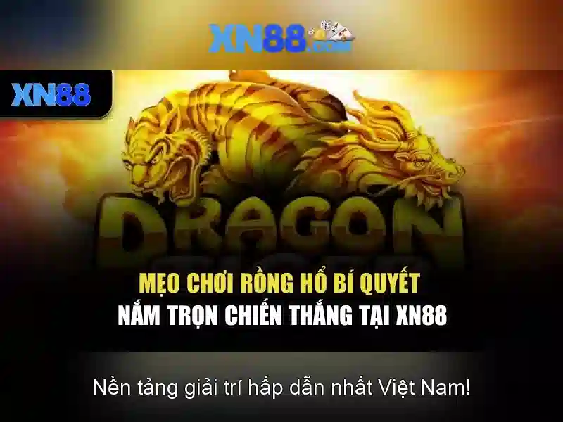 Xn88: Nền tảng giải trí và cá cược trực tuyến