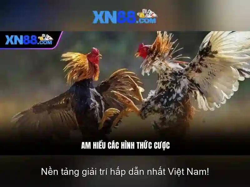 xn88: Tổng quan và trải nghiệm nền tảng trò chơi trực tuyến