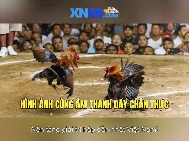 xn88 app ios – Trải nghiệm đỉnh cao cho người chơi