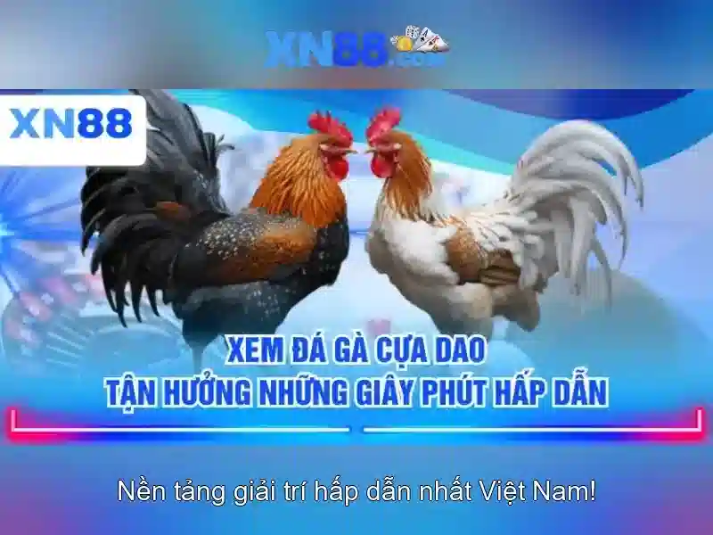 xn88 là gì và những điều cần biết cho người chơi Việt