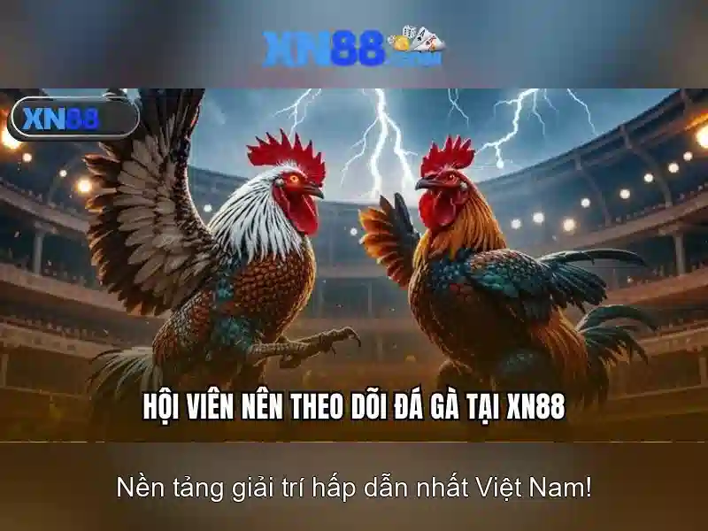 Hướng dẫn tham gia và liên hệ hỗ trợ
