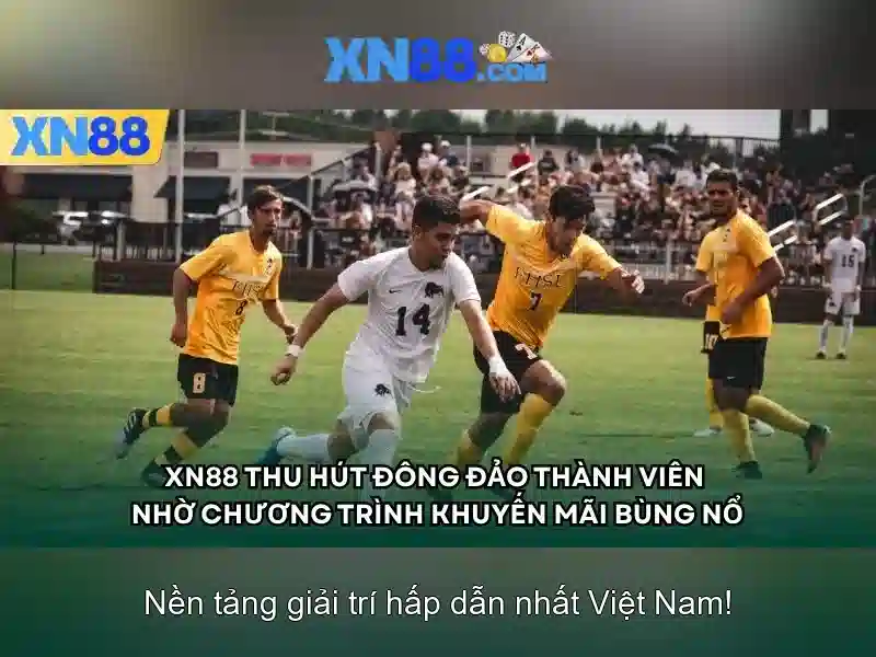 Chính sách thanh toán và rút tiền