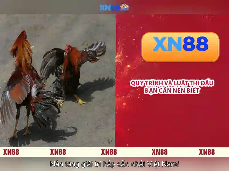 xn88: Nền tảng cá cược trực tuyến và câu chuyện của nó