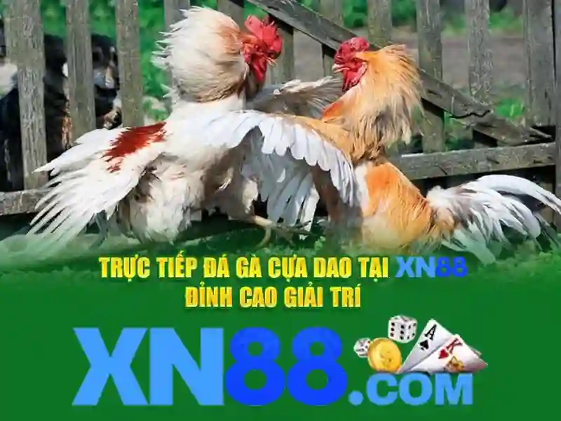 An toàn và pháp lý khi tham gia xn88